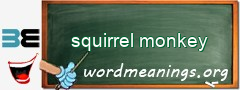 WordMeaning blackboard for squirrel monkey